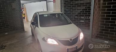  Lancia Ypsilon platino  2017  bianca  4 posti 