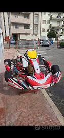 go kart kz