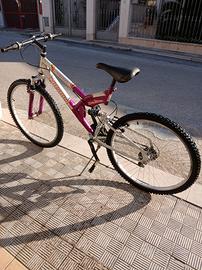 bicicletta 