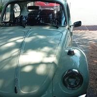 Volkswagen maggiolino