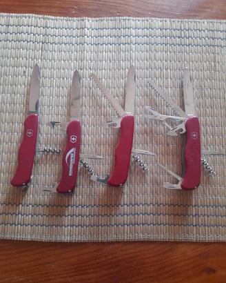 lotto victorinox 111mm 4 pezzi