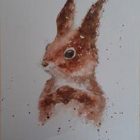 Dipinto acquerello scoiattolo