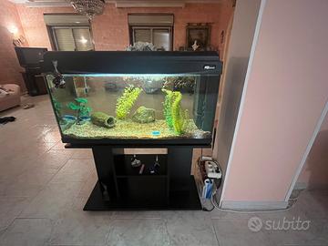 Acquario ad acqua dolce