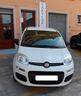 fiat-panda-1-2-benzina-69-cv-easy