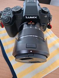Panasonic Lumix G80 + Leica DG 12-60mm f/2.8-4.0 –
