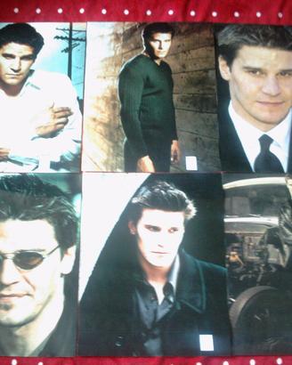 Poster David Boreanaz Angel 27,5 x 35,7cm,vari(11)