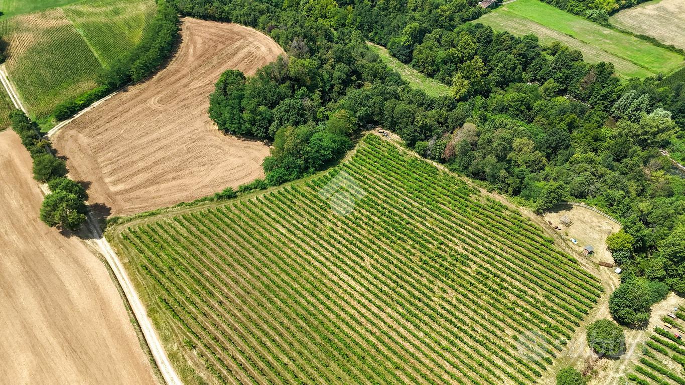 TER. AGRICOLO A CALVAGESE DELLA RIVIERA - Altro