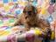 Immagine 25