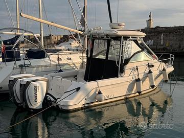 Robalo 265 WA 2x200 Evinrude 2018 Radar