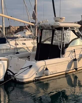 Robalo 265 WA 2x200 Evinrude 2018 Radar