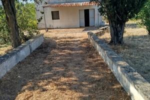 Terreno con fabbricato