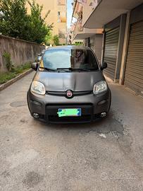 Panda sport 2020