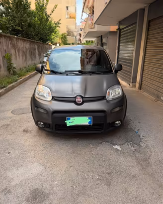 Panda sport 2020