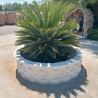Rivestimento in pietra di Trani 