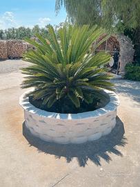 Rivestimento in pietra di Trani 