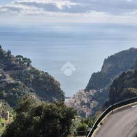 TER. AGRICOLO A SCALA