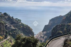 TER. AGRICOLO A SCALA