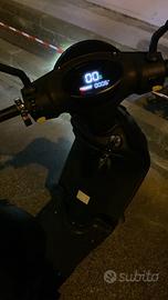 Vitale bici