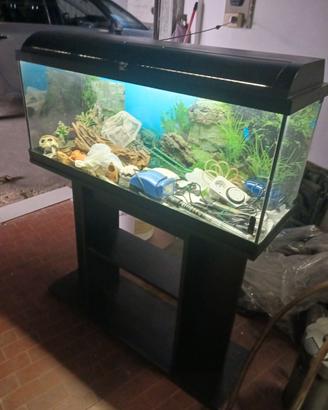 Acquario