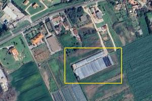 Azienda agricola Florovivaistica pronto uso