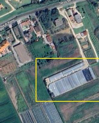 Azienda agricola Florovivaistica pronto uso