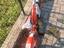 Immagine 2