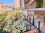 Immagine 25