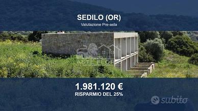 Immobile in asta di 78608 m² a Sedilo