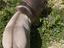 Immagine 4