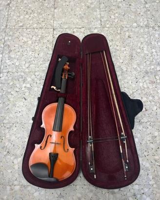 violino professionale