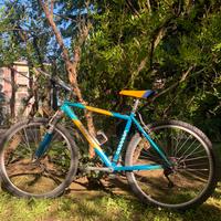 Mountain bike da ragazzo