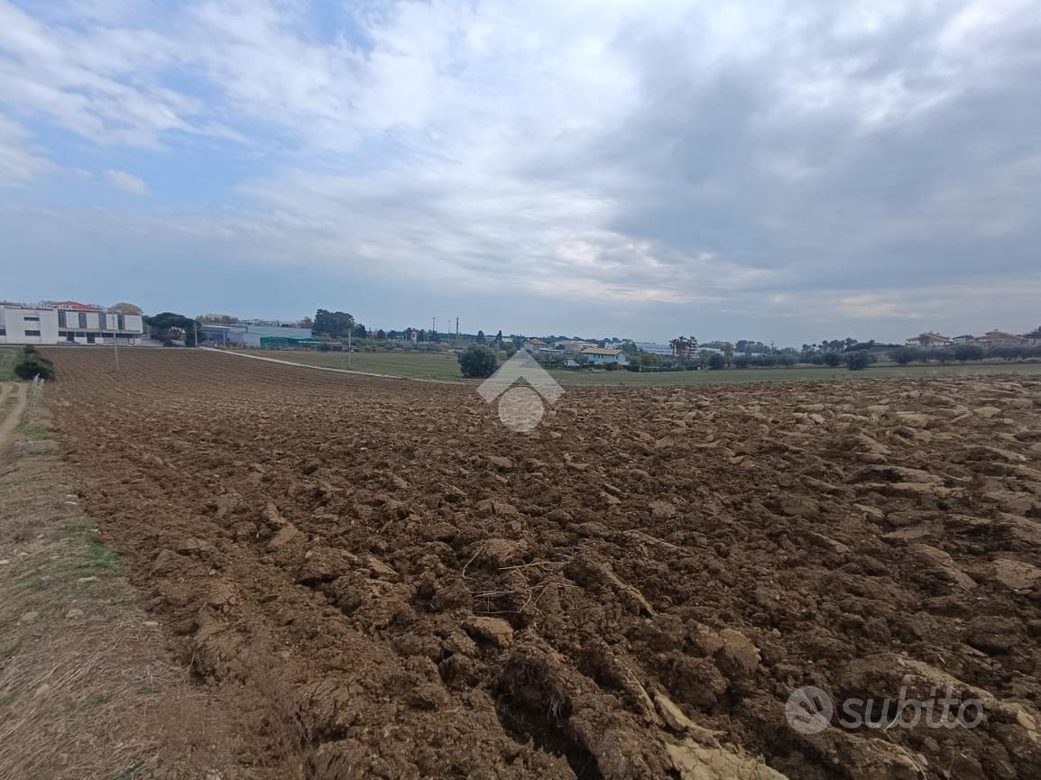 TERRENO A TORTORETO - Vista 5