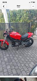 Ducati monster