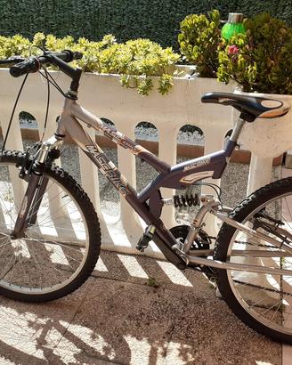 mountain bike