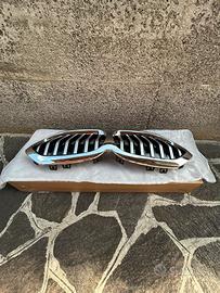 Mascherina/Calandra anteriore BMW serie 1 F40
