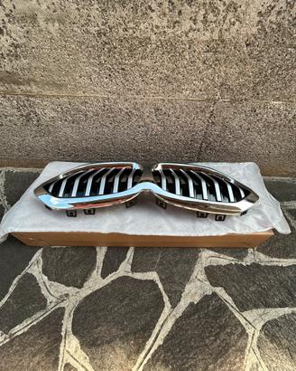 Mascherina/Calandra anteriore BMW serie 1 F40
