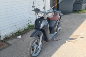 piaggio free 50