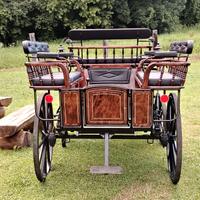carrozza cavalli 6 /8 persone 