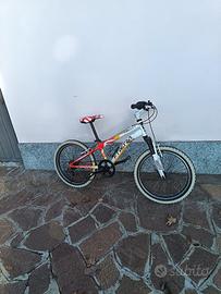 Bicicletta