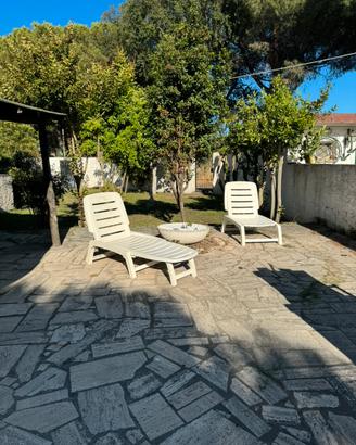 Montalto marina mare (ultime disponibilità)
