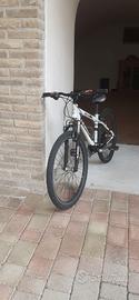 mountain bike