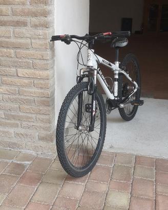 mountain bike
