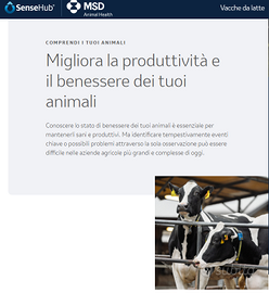 Sense Hub software monitoraggio bovini