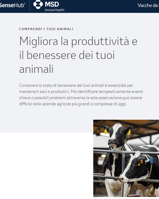Sense Hub software monitoraggio bovini