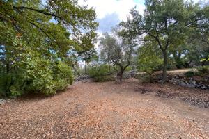 Dimora trulli e macchia mediterranea