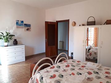 Camera ampia presso Univ. Studi Umanistici, Lingue