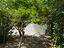 Immagine 25