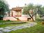 Immagine 15