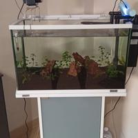 Acquario con mobile Tetra 60 l., completo di tutto