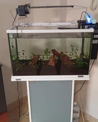 Acquario con mobile Tetra 60 l., completo di tutto